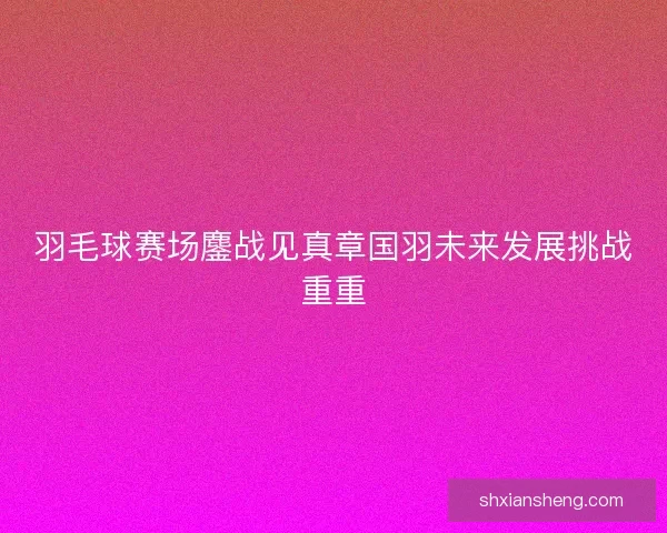 羽毛球赛场鏖战见真章国羽未来发展挑战重重