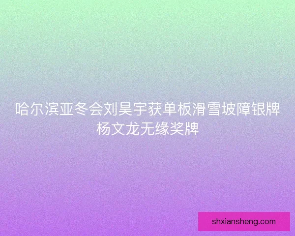 哈尔滨亚冬会刘昊宇获单板滑雪坡障银牌杨文龙无缘奖牌