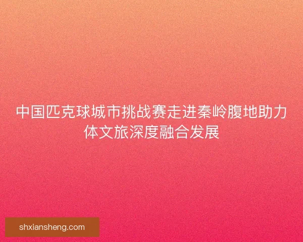 中国匹克球城市挑战赛走进秦岭腹地助力体文旅深度融合发展
