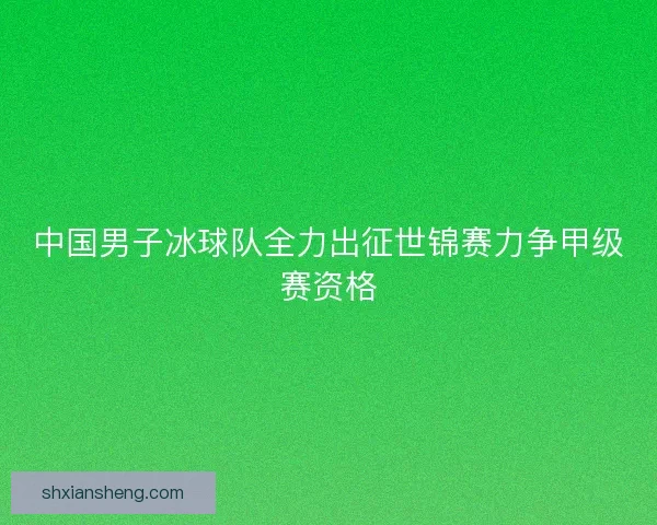 中国男子冰球队全力出征世锦赛力争甲级赛资格