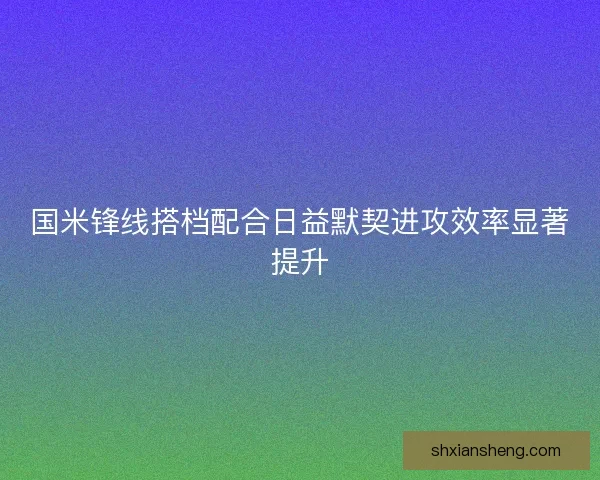 国米锋线搭档配合日益默契进攻效率显著提升